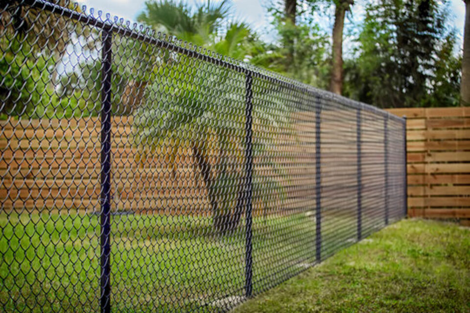 Chain Link